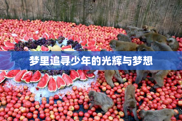 梦里追寻少年的光辉与梦想