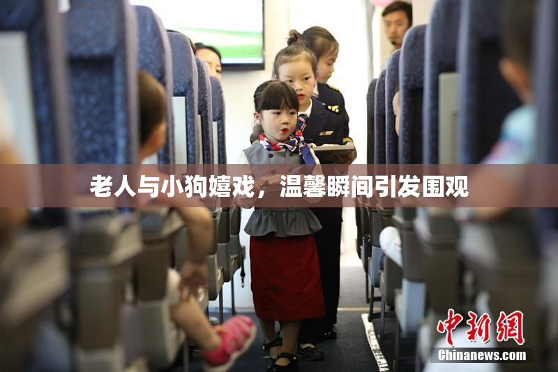 老人与小狗嬉戏，温馨瞬间引发围观