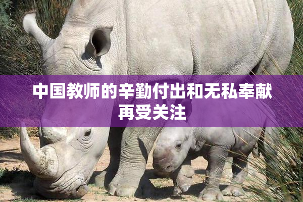 中国教师的辛勤付出和无私奉献再受关注