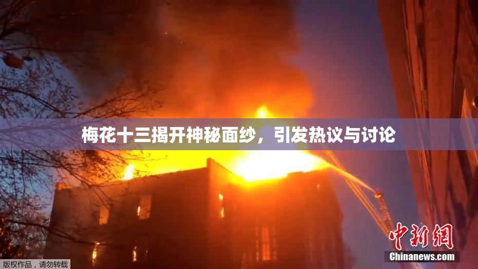 梅花十三揭开神秘面纱，引发热议与讨论