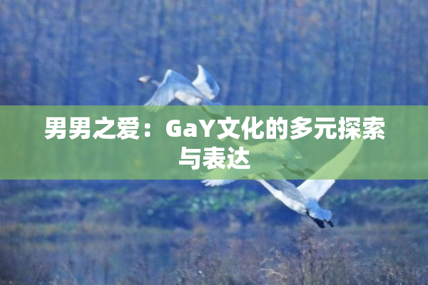 男男之爱：GaY文化的多元探索与表达