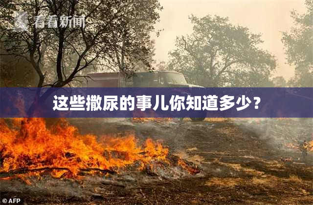 这些撒尿的事儿你知道多少？