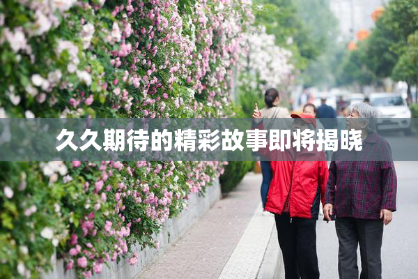 久久期待的精彩故事即将揭晓