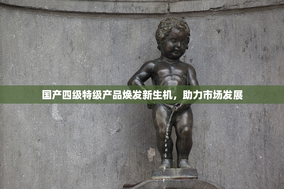国产四级特级产品焕发新生机，助力市场发展