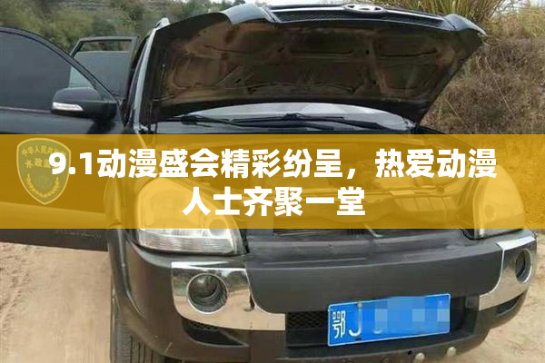 9.1动漫盛会精彩纷呈，热爱动漫人士齐聚一堂
