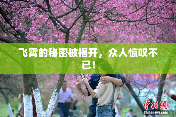 飞霄的秘密被揭开，众人惊叹不已！