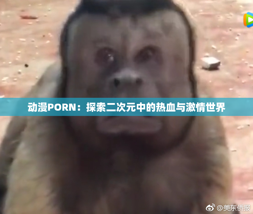 动漫PORN：探索二次元中的热血与激情世界