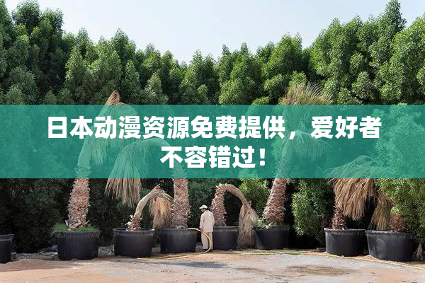日本动漫资源免费提供，爱好者不容错过！