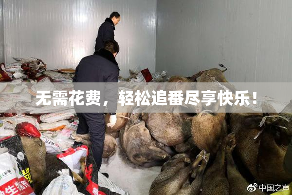 无需花费，轻松追番尽享快乐！