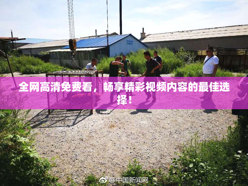 全网高清免费看，畅享精彩视频内容的最佳选择！