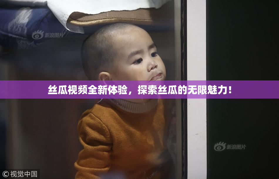 丝瓜视频全新体验，探索丝瓜的无限魅力！