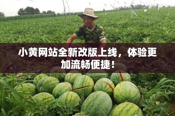 小黄网站全新改版上线，体验更加流畅便捷！