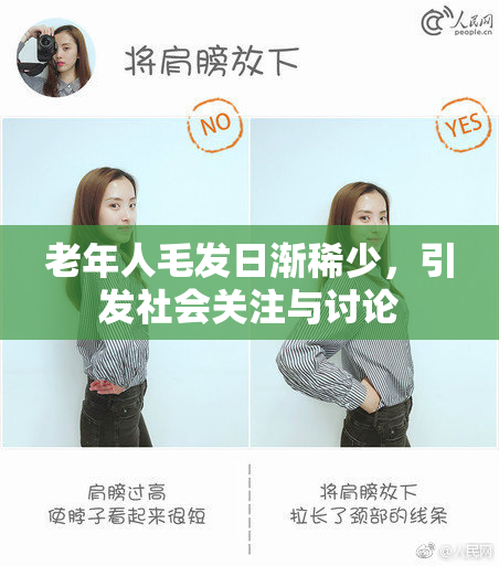 老年人毛发日渐稀少，引发社会关注与讨论