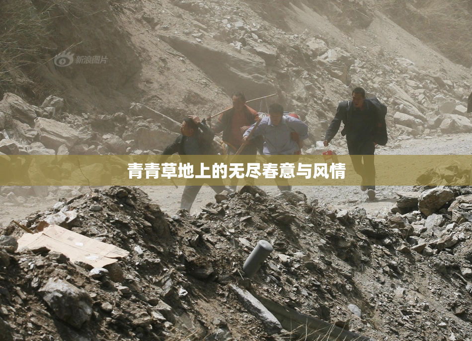 青青草地上的无尽春意与风情