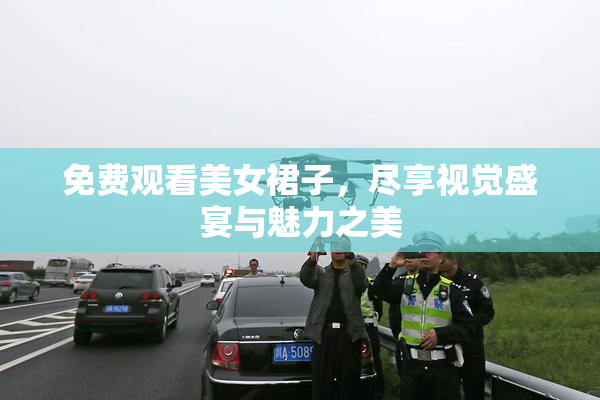 免费观看美女裙子，尽享视觉盛宴与魅力之美