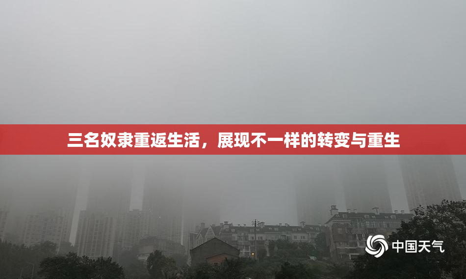 三名奴隶重返生活，展现不一样的转变与重生