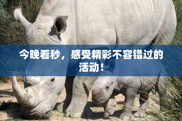 今晚看秒，感受精彩不容错过的活动！