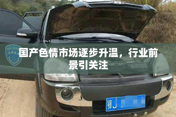 国产色情市场逐步升温，行业前景引关注
