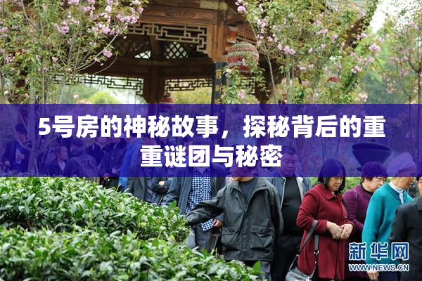 5号房的神秘故事，探秘背后的重重谜团与秘密