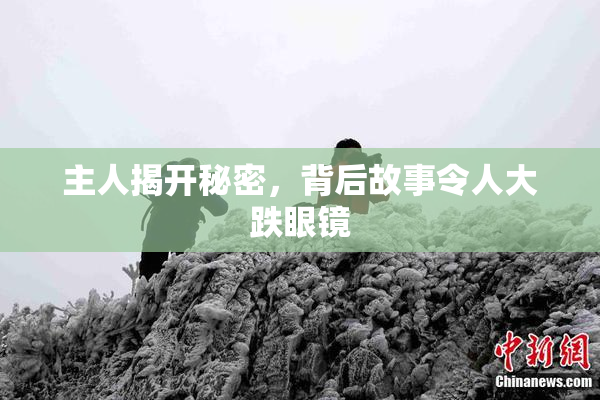 主人揭开秘密，背后故事令人大跌眼镜
