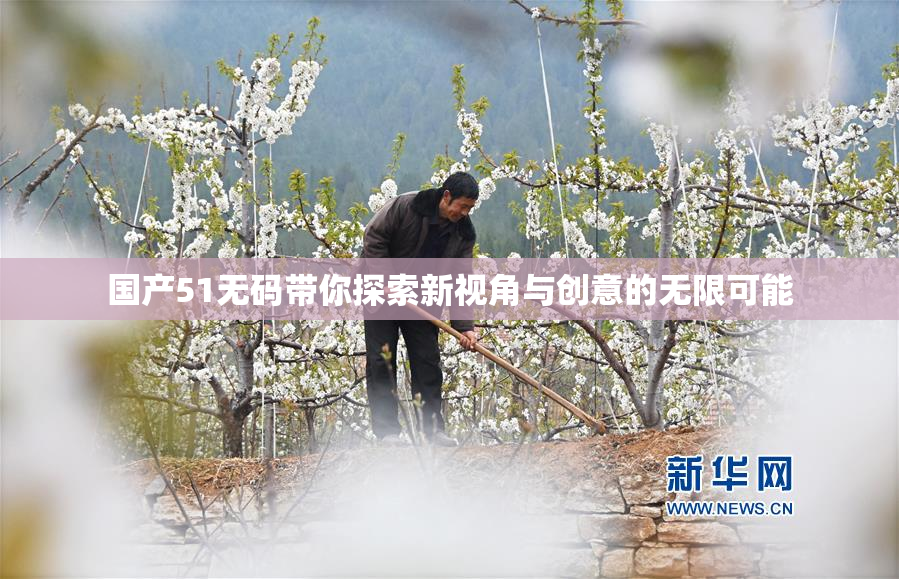 国产51无码带你探索新视角与创意的无限可能