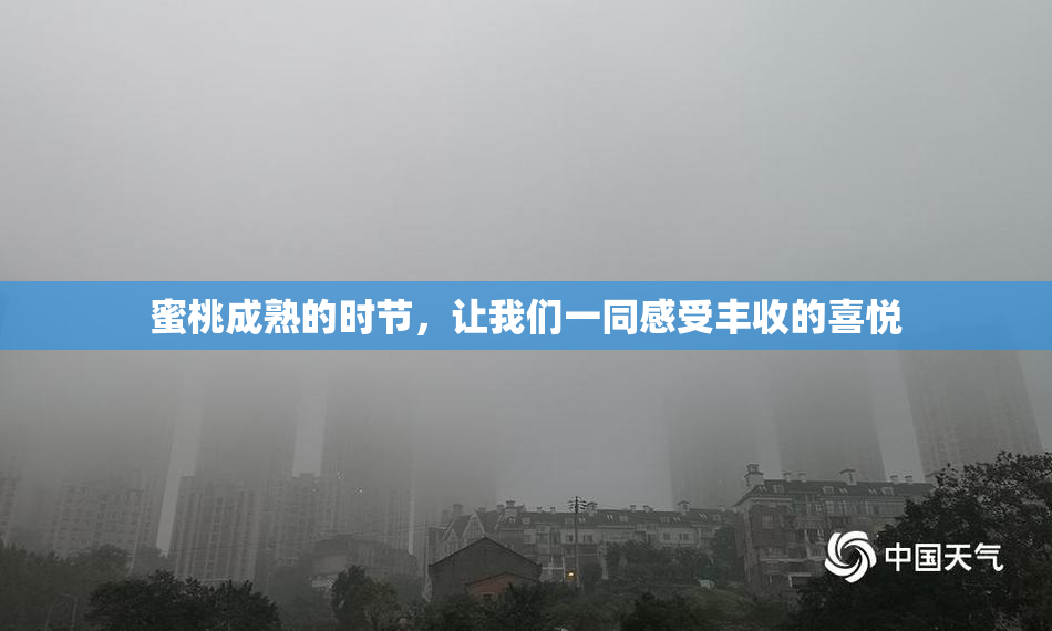 蜜桃成熟的时节，让我们一同感受丰收的喜悦