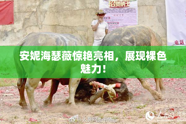 安妮海瑟薇惊艳亮相，展现裸色魅力！