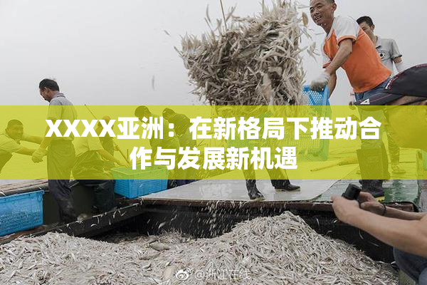XXXX亚洲：在新格局下推动合作与发展新机遇