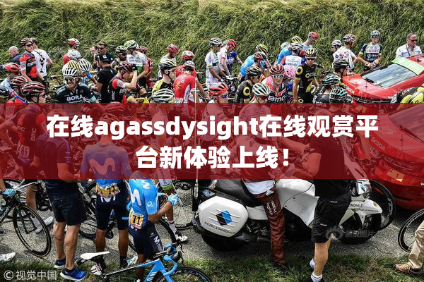 在线agassdysight在线观赏平台新体验上线！