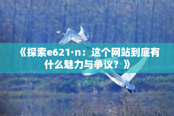 《探索e621·n：这个网站到底有什么魅力与争议？》