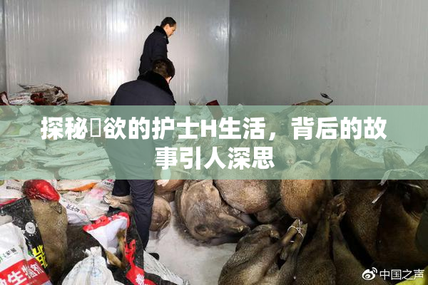 探秘婬欲的护士H生活，背后的故事引人深思