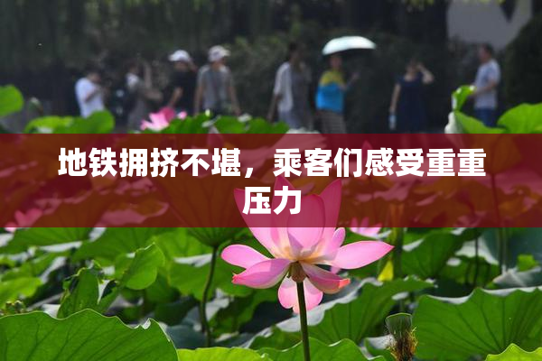 地铁拥挤不堪，乘客们感受重重压力