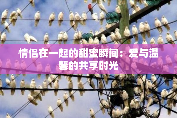 情侣在一起的甜蜜瞬间：爱与温馨的共享时光