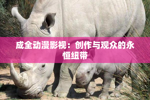 成全动漫影视：创作与观众的永恒纽带