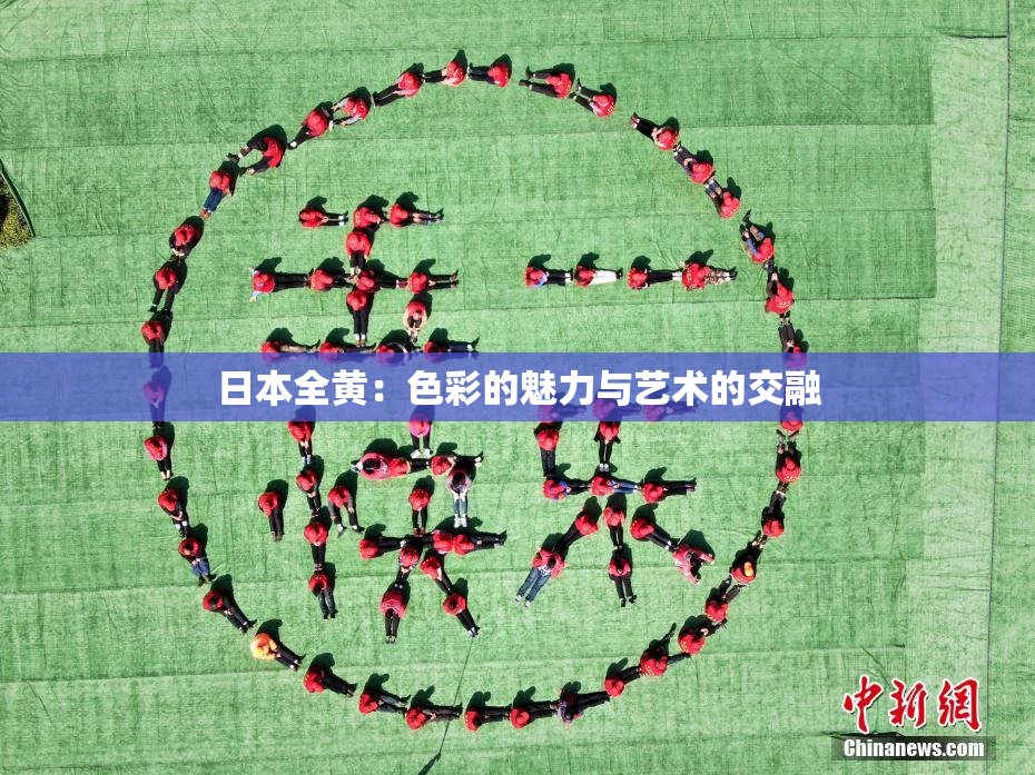 日本全黄：色彩的魅力与艺术的交融