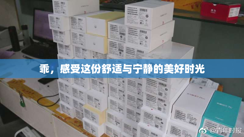 乖，感受这份舒适与宁静的美好时光