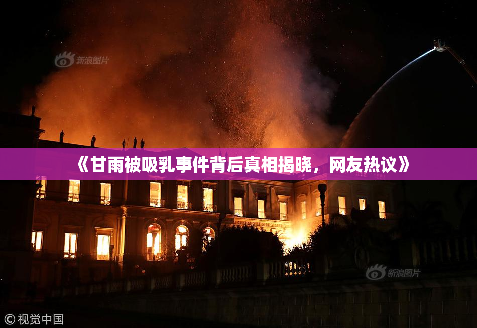 《甘雨被吸乳事件背后真相揭晓，网友热议》