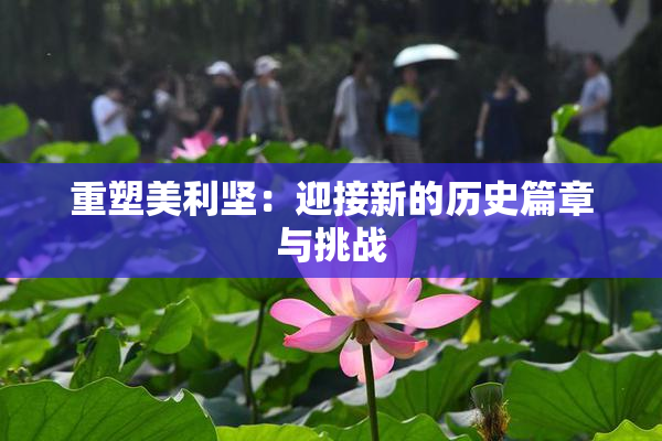 重塑美利坚：迎接新的历史篇章与挑战