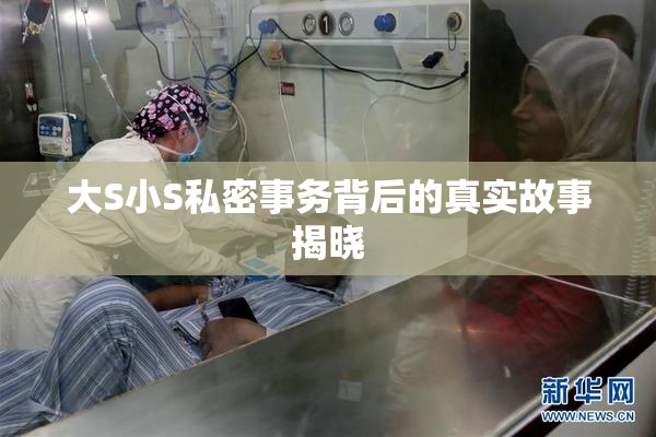 大S小S私密事务背后的真实故事揭晓