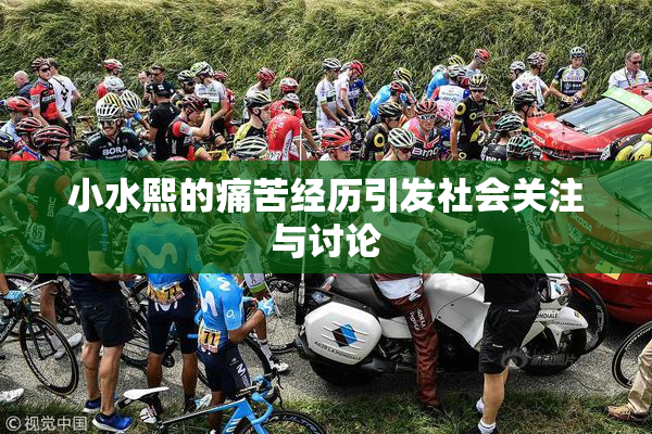 小水熙的痛苦经历引发社会关注与讨论