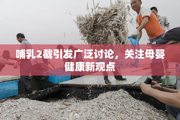 哺乳2截引发广泛讨论，关注母婴健康新观点