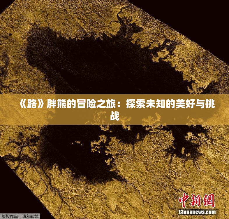 《路》胖熊的冒险之旅：探索未知的美好与挑战