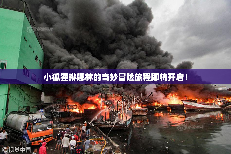 小狐狸琳娜林的奇妙冒险旅程即将开启！