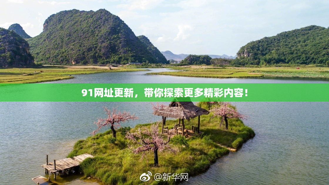 91网址更新，带你探索更多精彩内容！