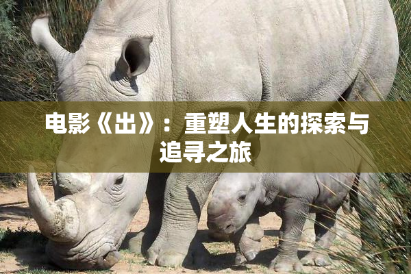 电影《出》：重塑人生的探索与追寻之旅