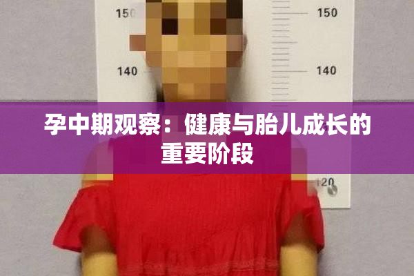 孕中期观察：健康与胎儿成长的重要阶段