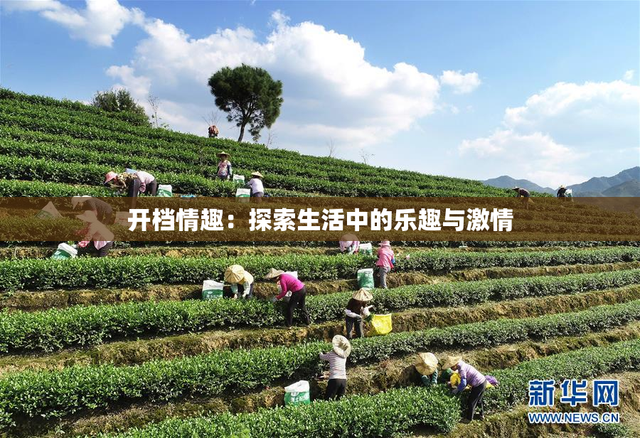 开档情趣：探索生活中的乐趣与激情