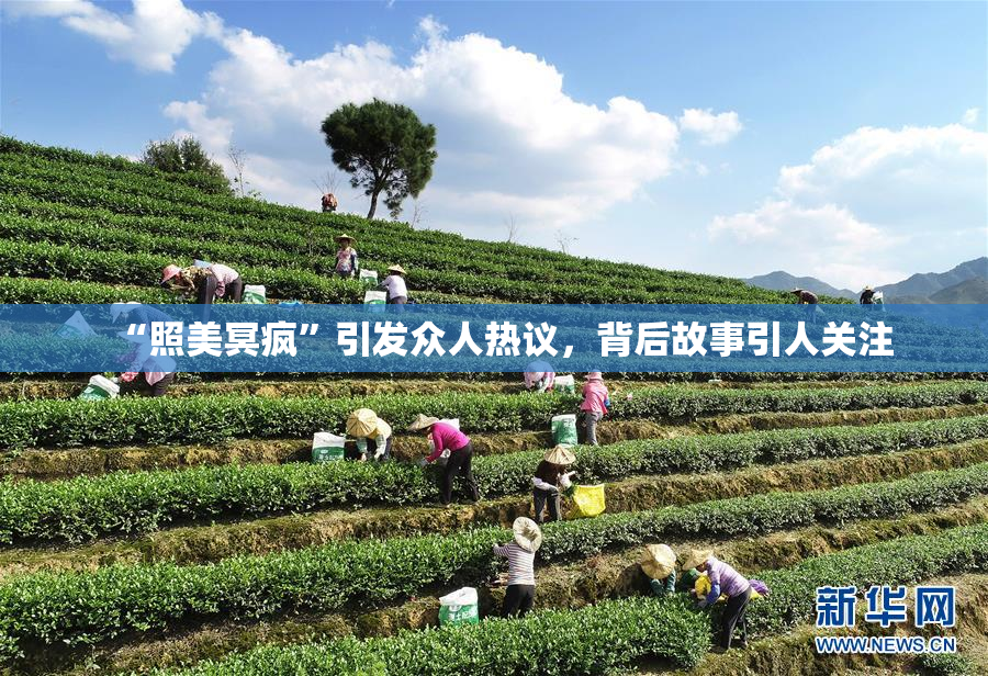 “照美冥疯”引发众人热议，背后故事引人关注