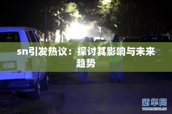 sn引发热议：探讨其影响与未来趋势