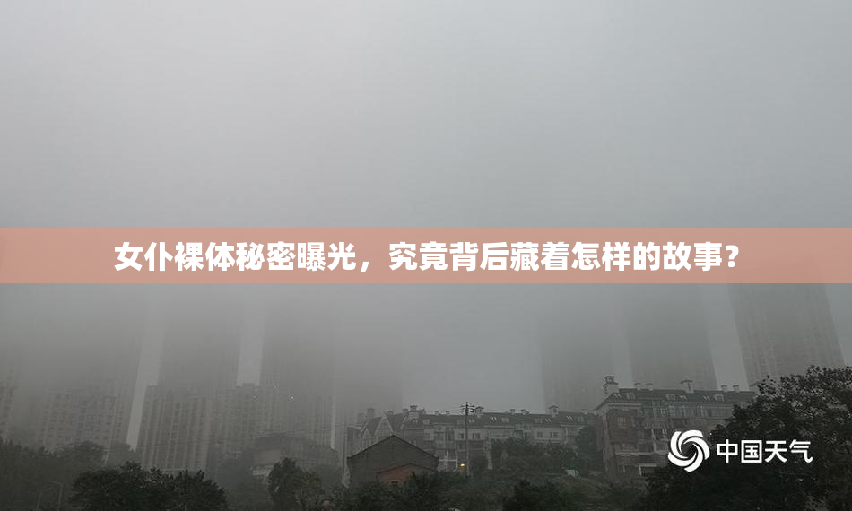 女仆裸体秘密曝光，究竟背后藏着怎样的故事？